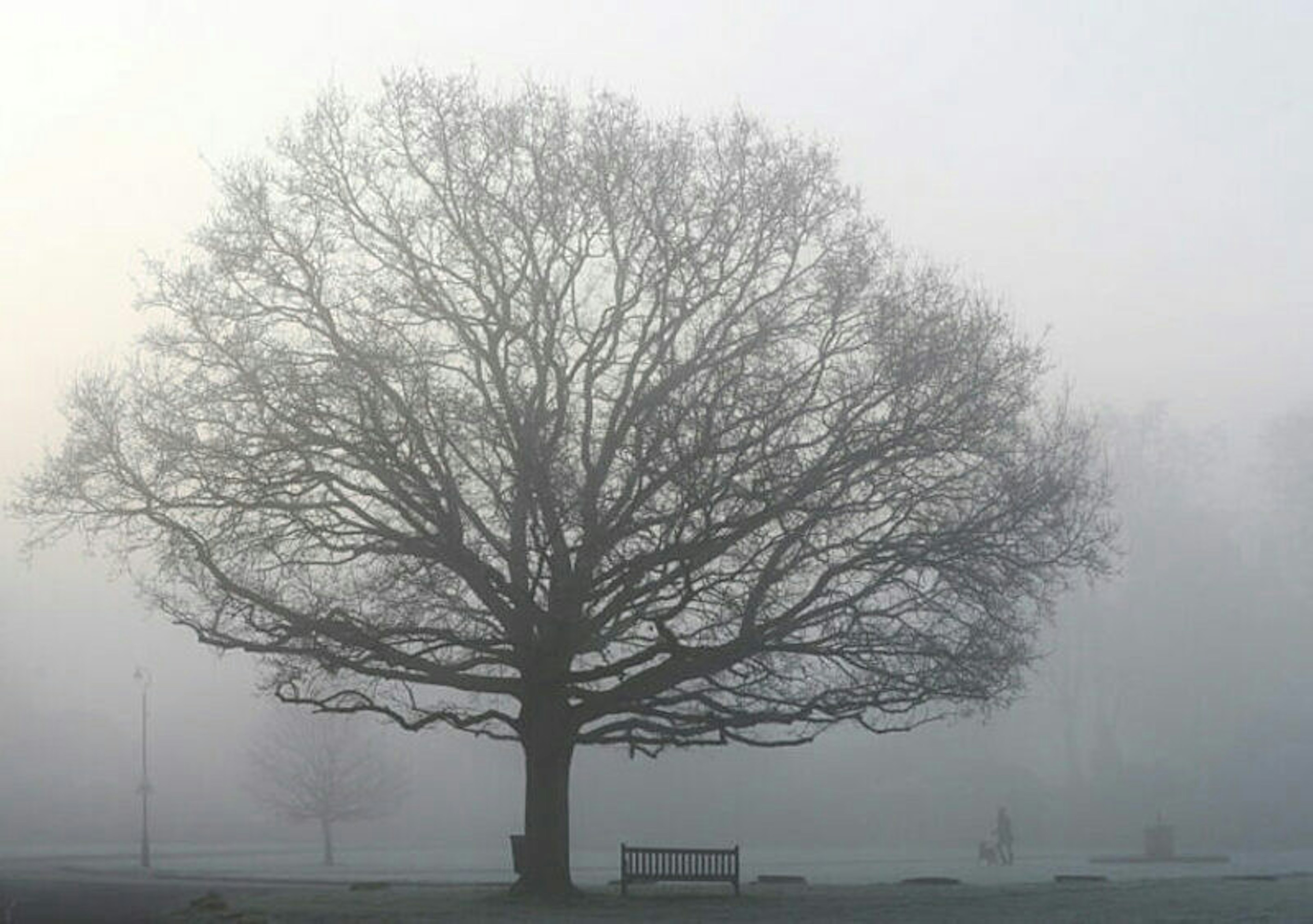 OSTATNI MECZ #9. Zjawa