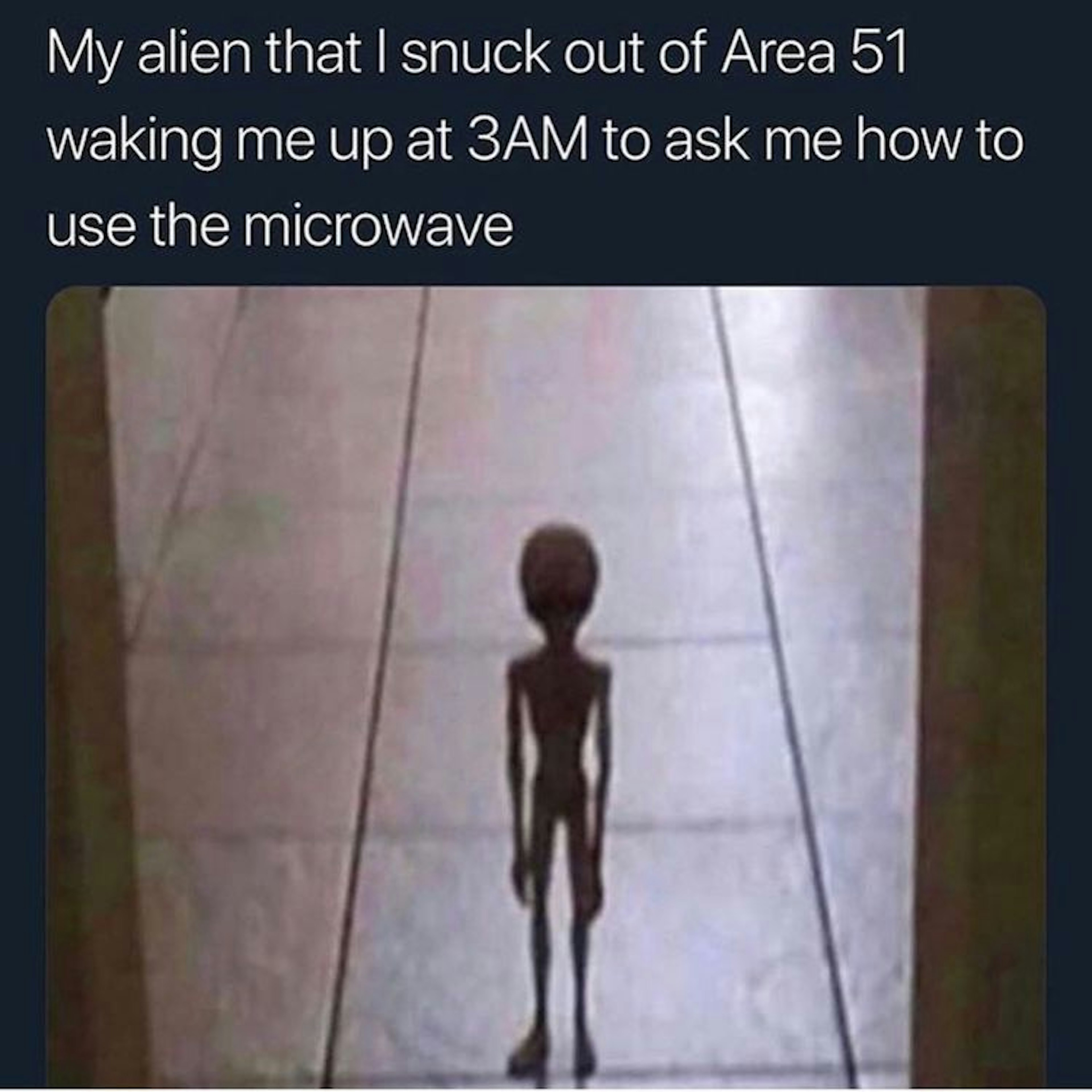 alien.jpg