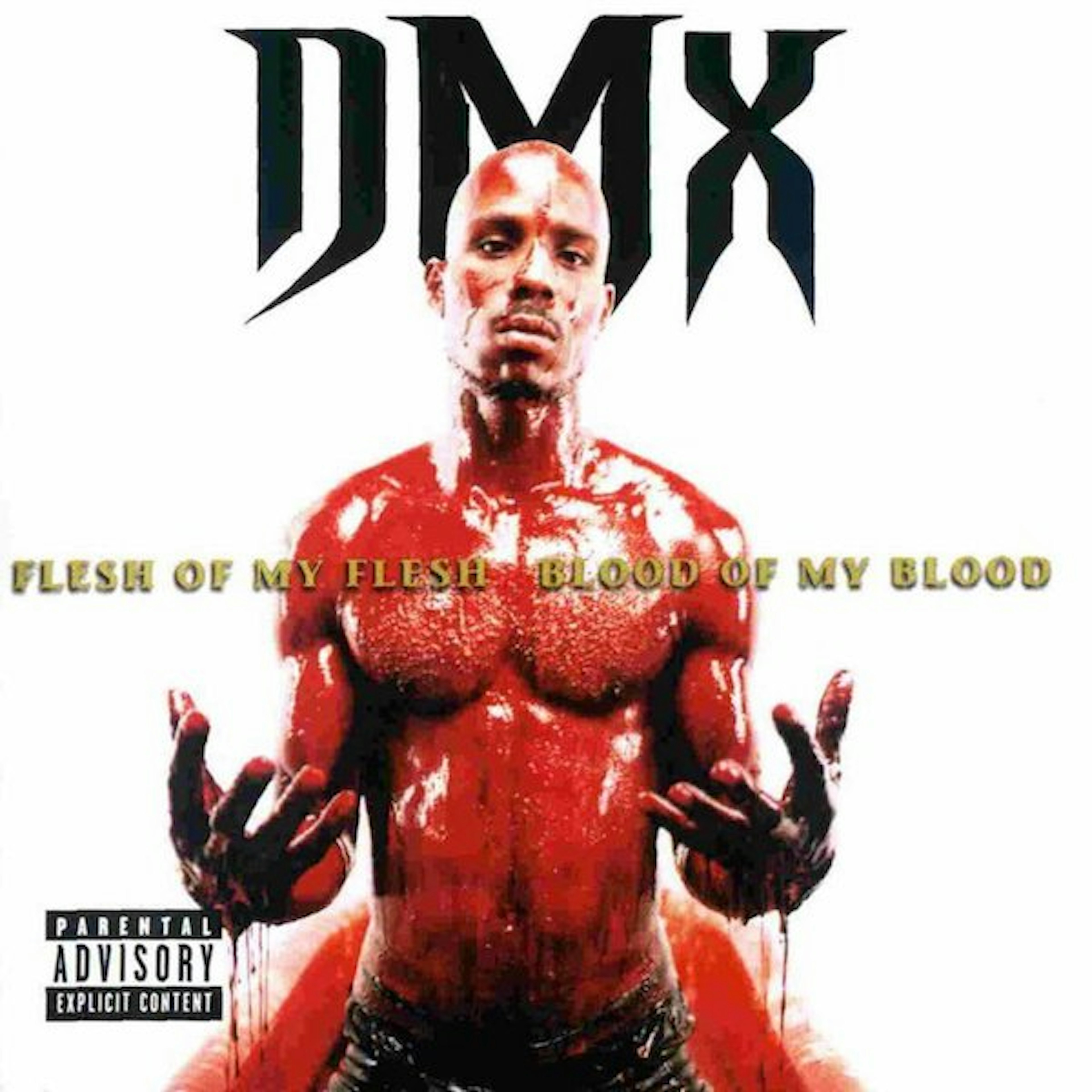 DMX.jpg