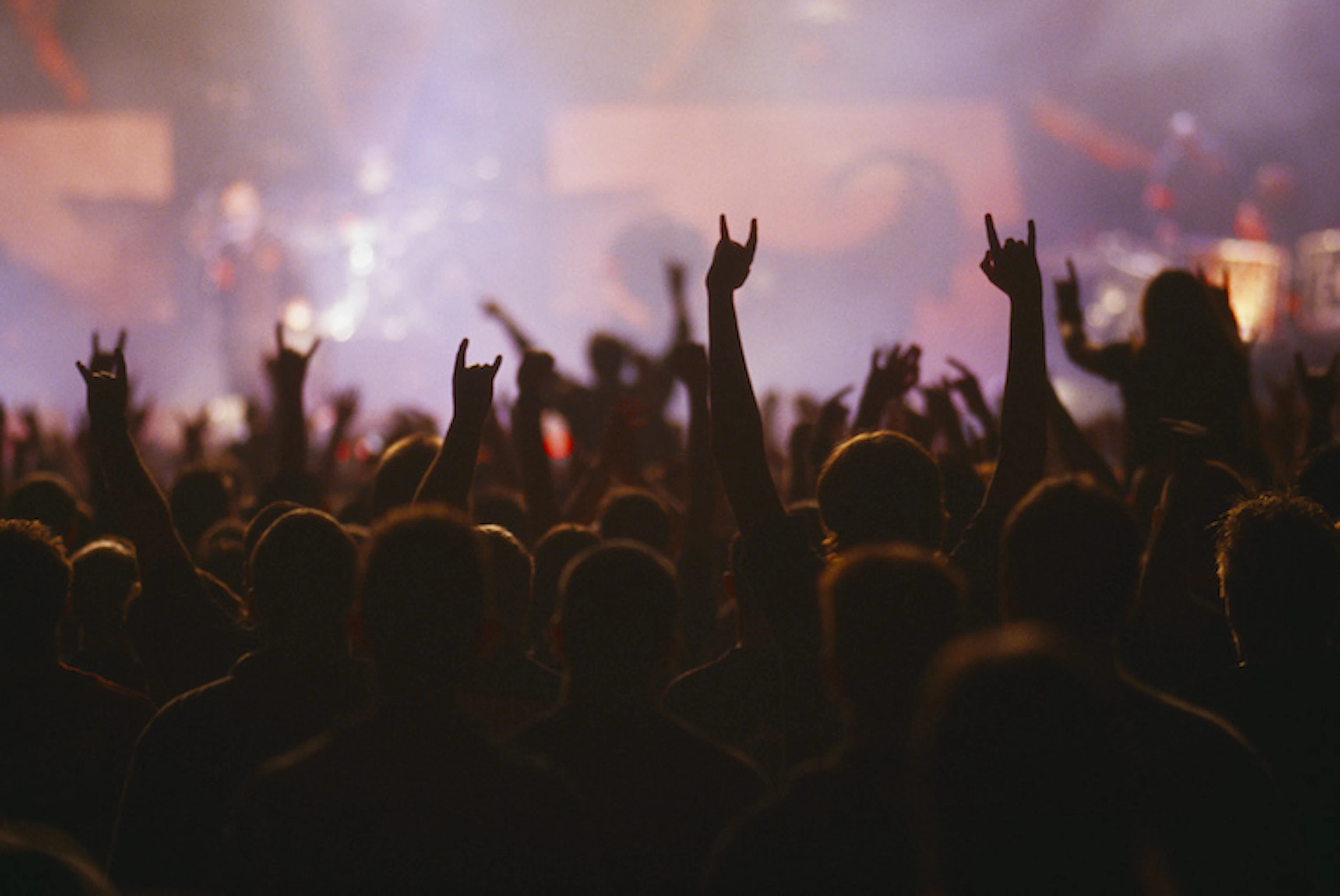 Concert Audience