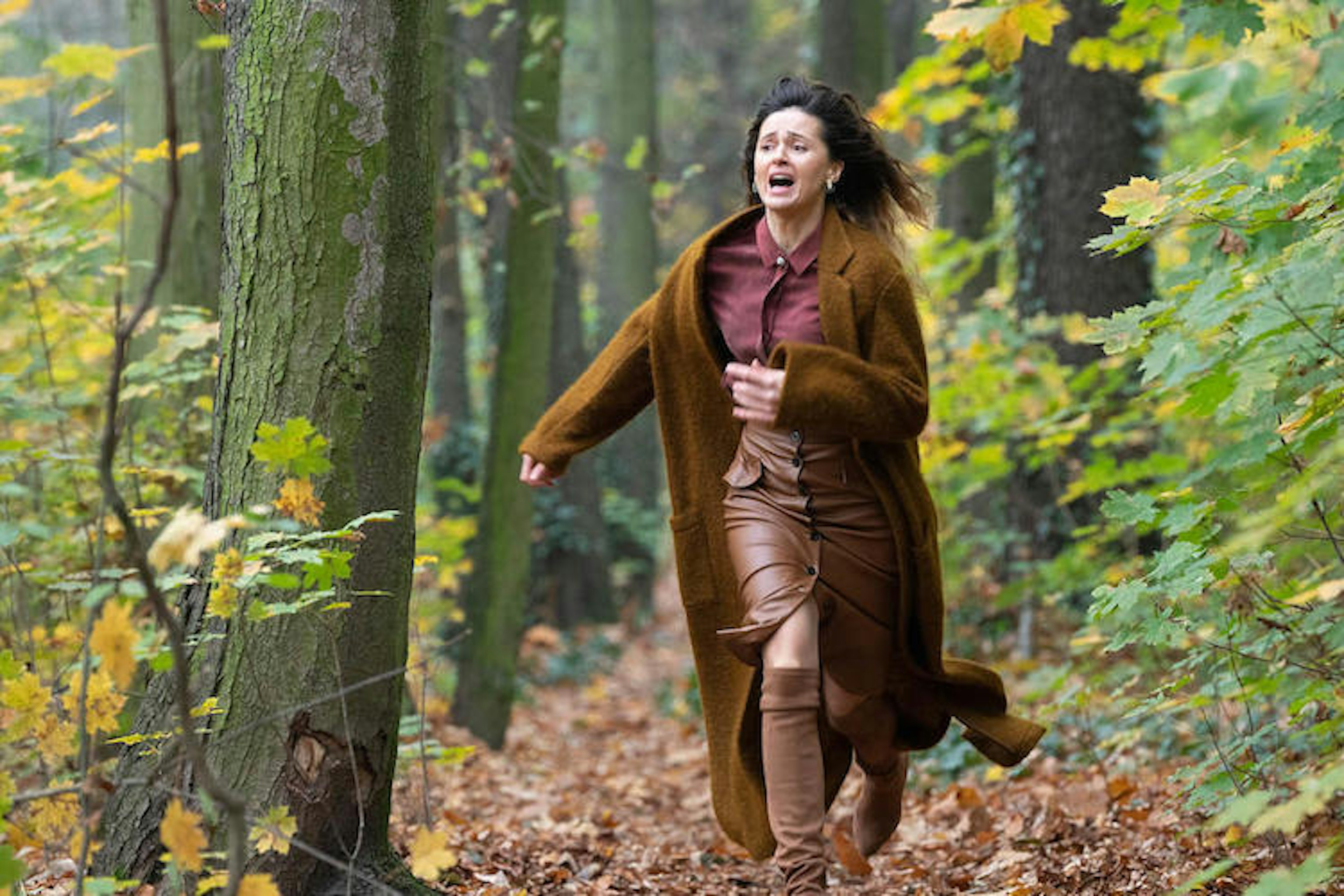 wglebilasu cover.jpg