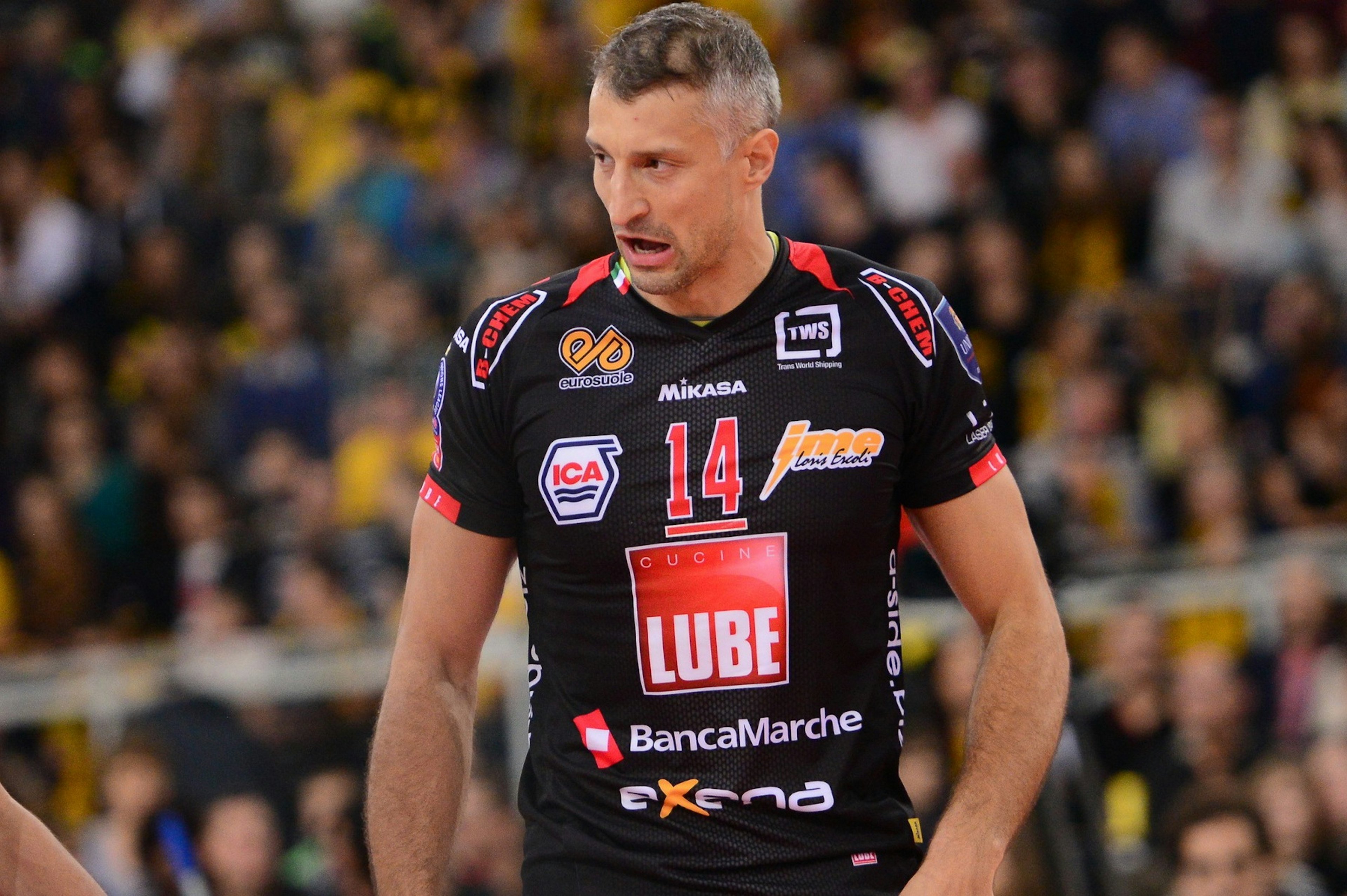 Siatkowka. Liga Mistrzow. PGE Skra Belchatow - Cucine Lube Banca. 18.11.2015