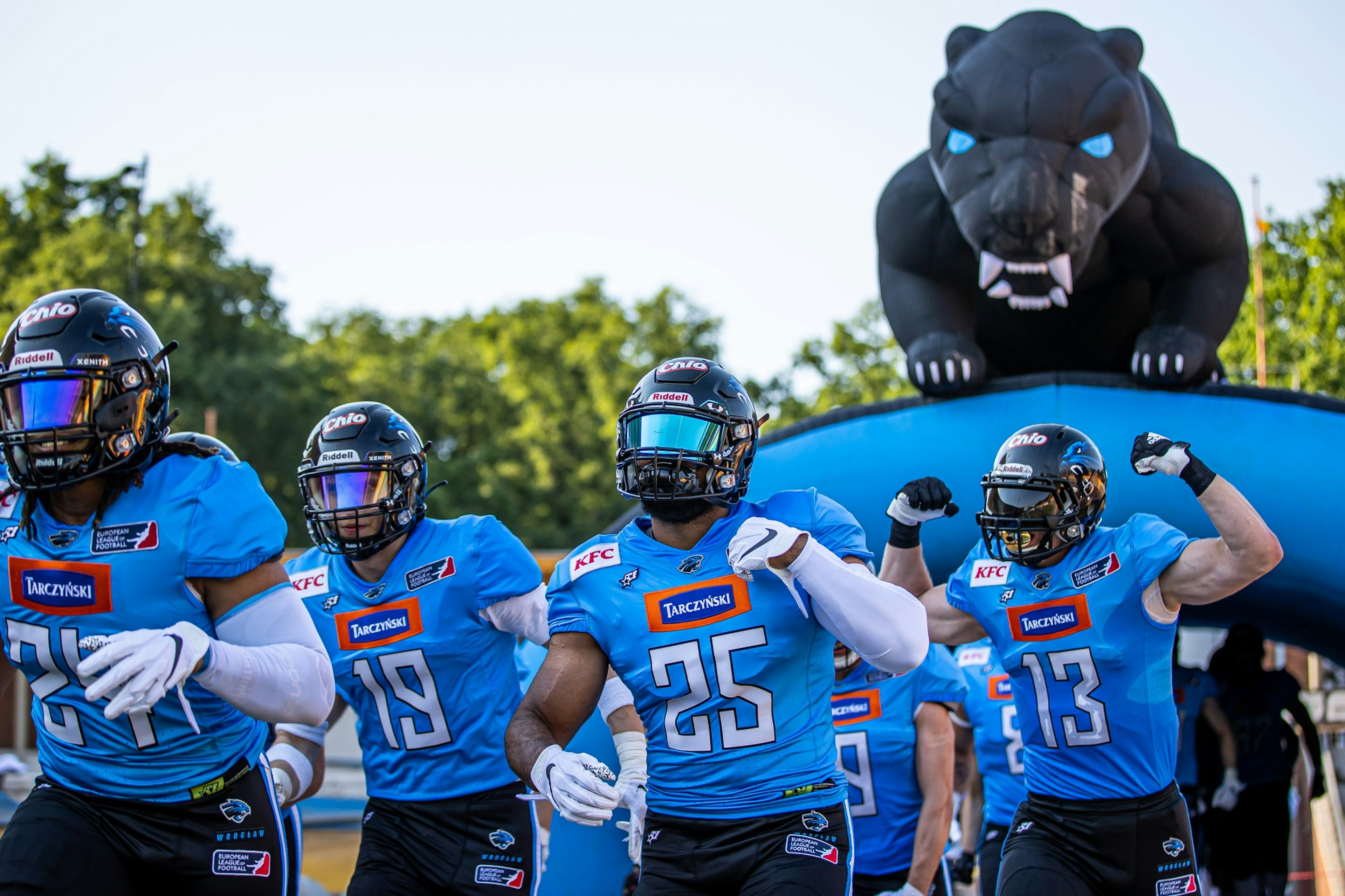 Panthers Wrocław ELF.jpg