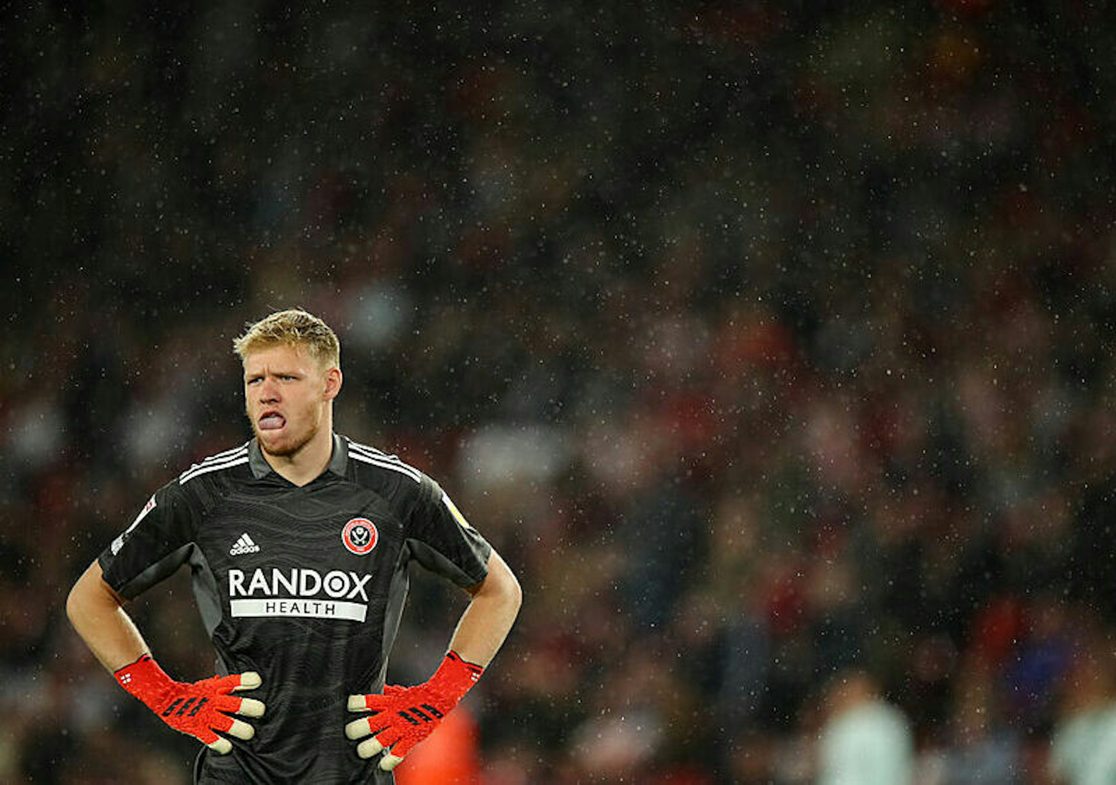 TYGODNIÓWKA #80. AAA Arsenal bramkarza zatrudni. Trudna sztuka poszukiwania drugiego Davida Seamana