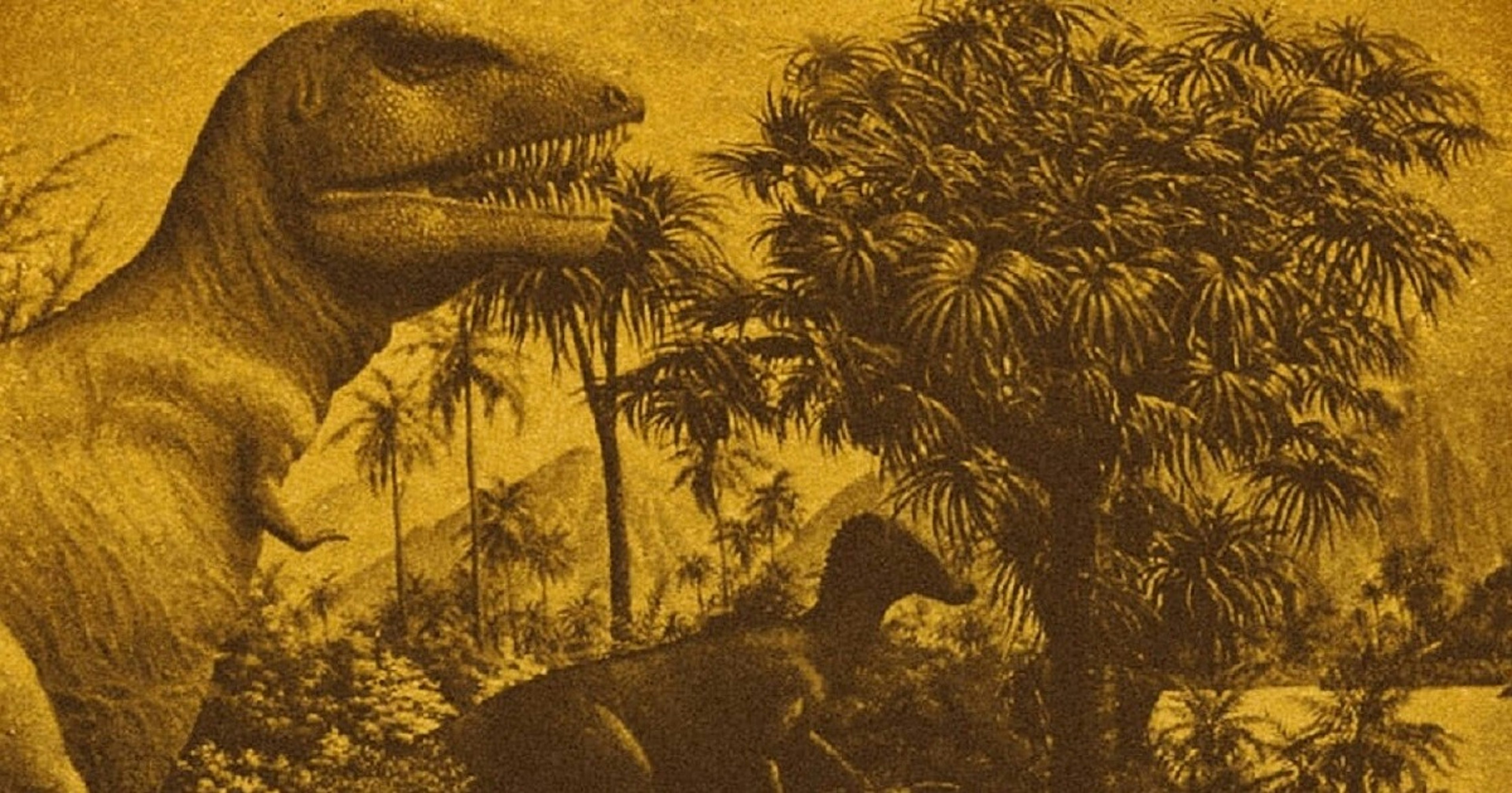 Diplodocus - Slow and Heavy / Dungeons Deep Records