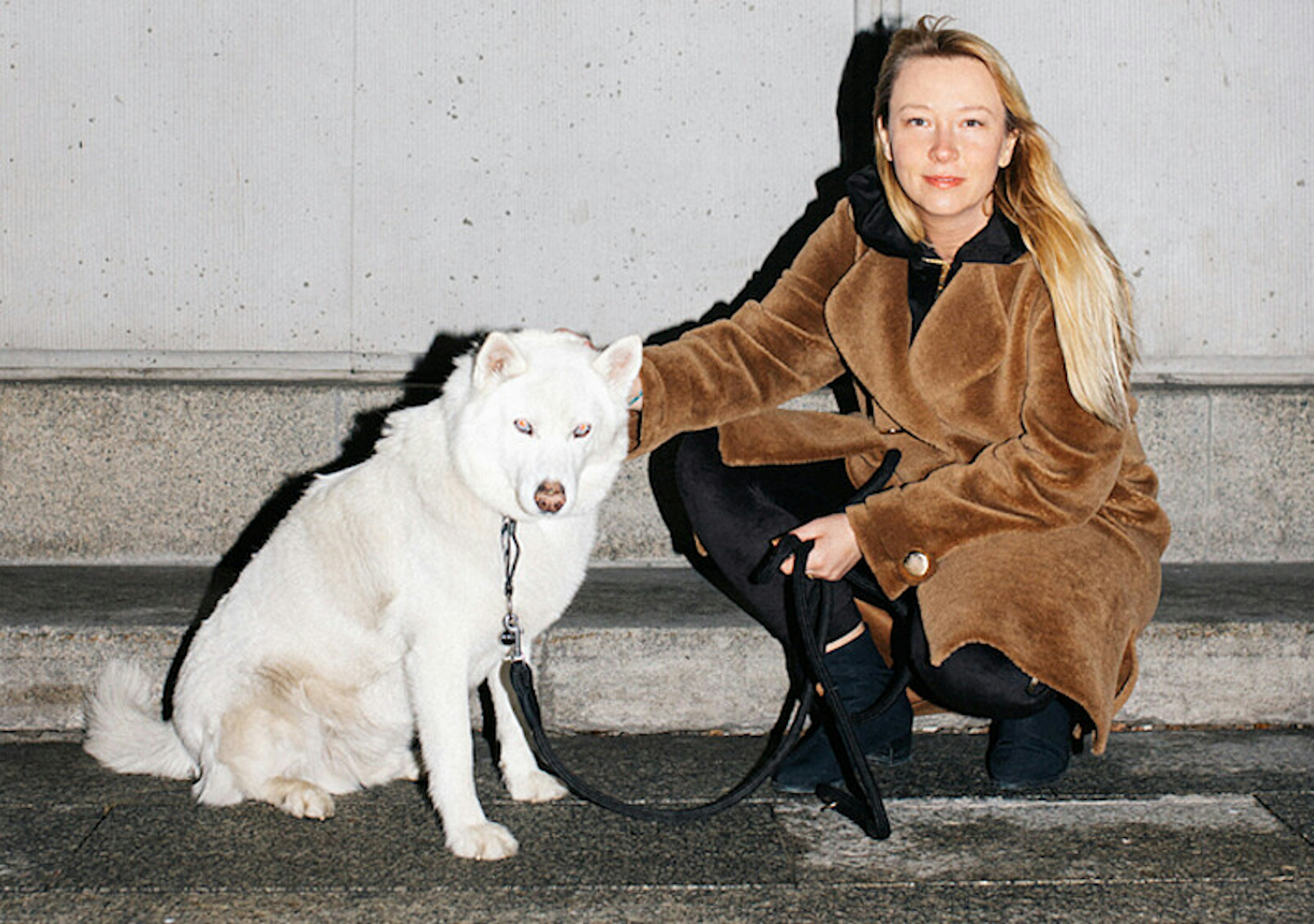 Na pomoc pieskom! Organizujemy PSIADANIE - świąteczną zbiórkę i wyjątkowe licytacje na rzecz zwierząt