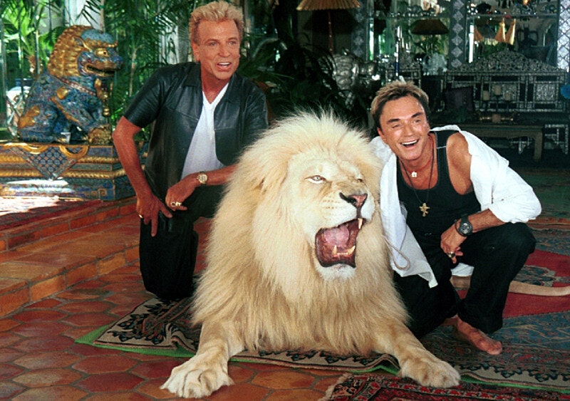 Król tygrysów nie przestaje dostarczać – podobno będzie epizod o sławnym duecie Siegfried i Roy