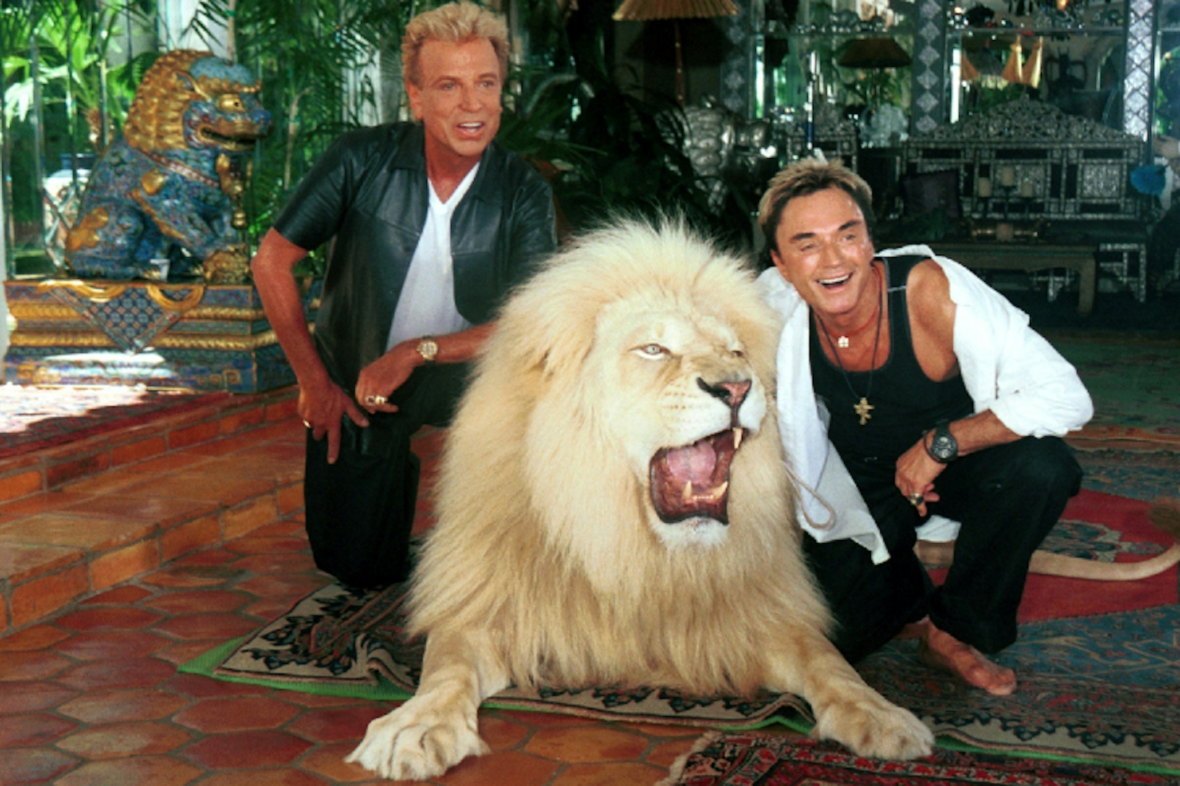 siegfriediroy.jpg