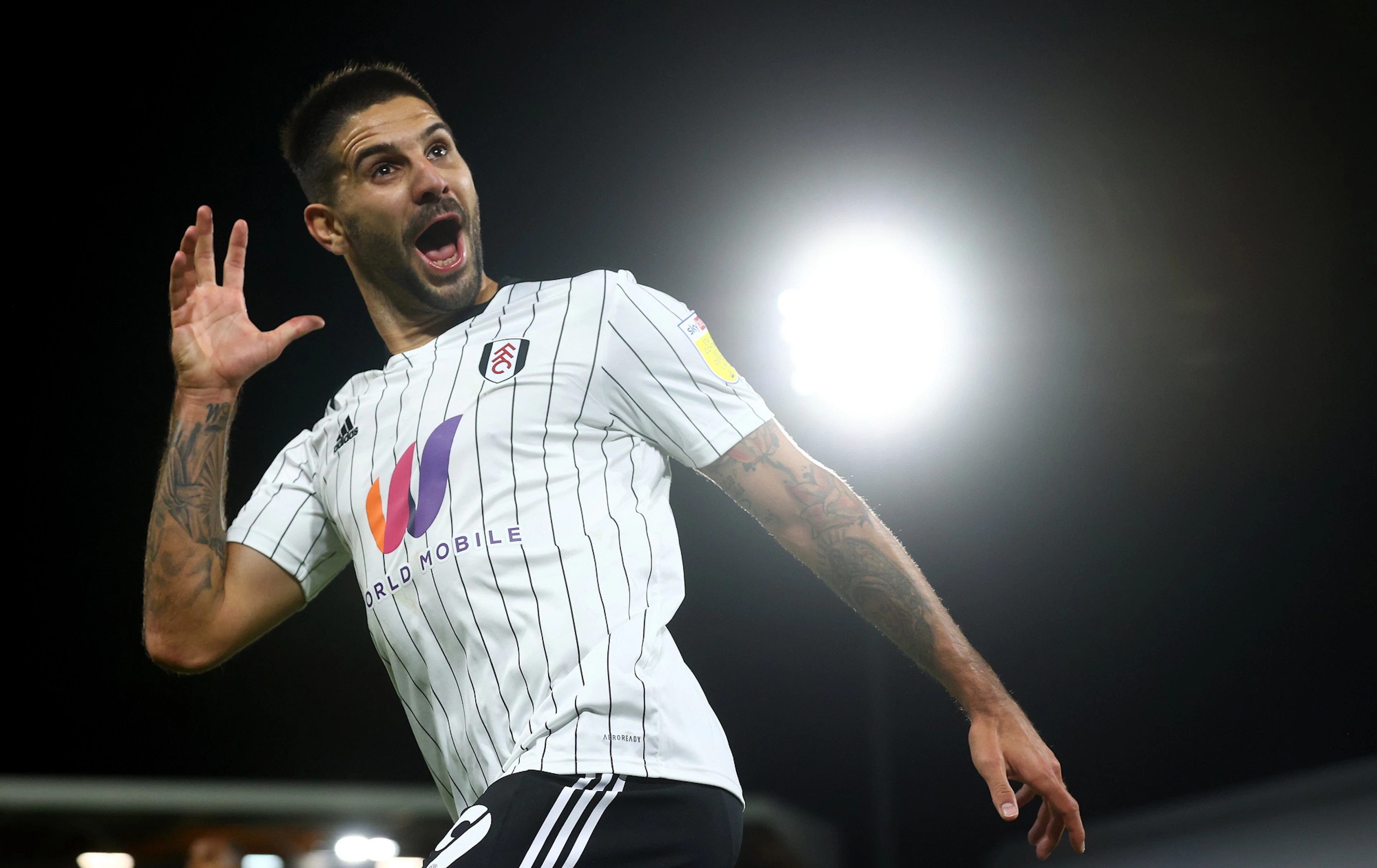 Aleksandar Mitrović - Fulham
