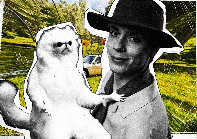 Przez Kinniego Zimmera jesteśmy bezradni jak popularny kot z mema (RECENZJA)