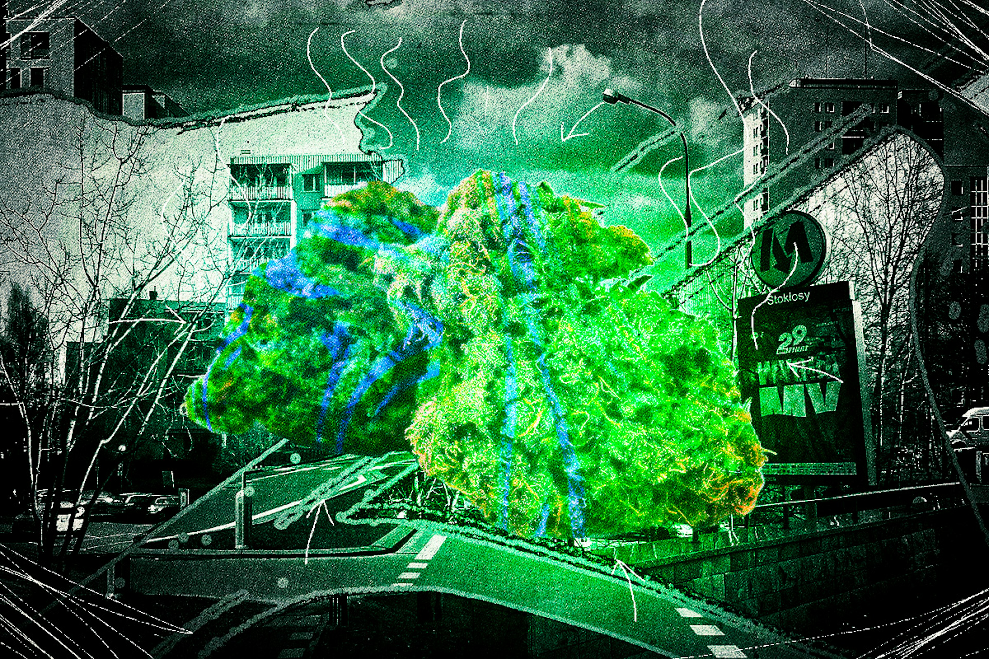 ursynowski domestos haze