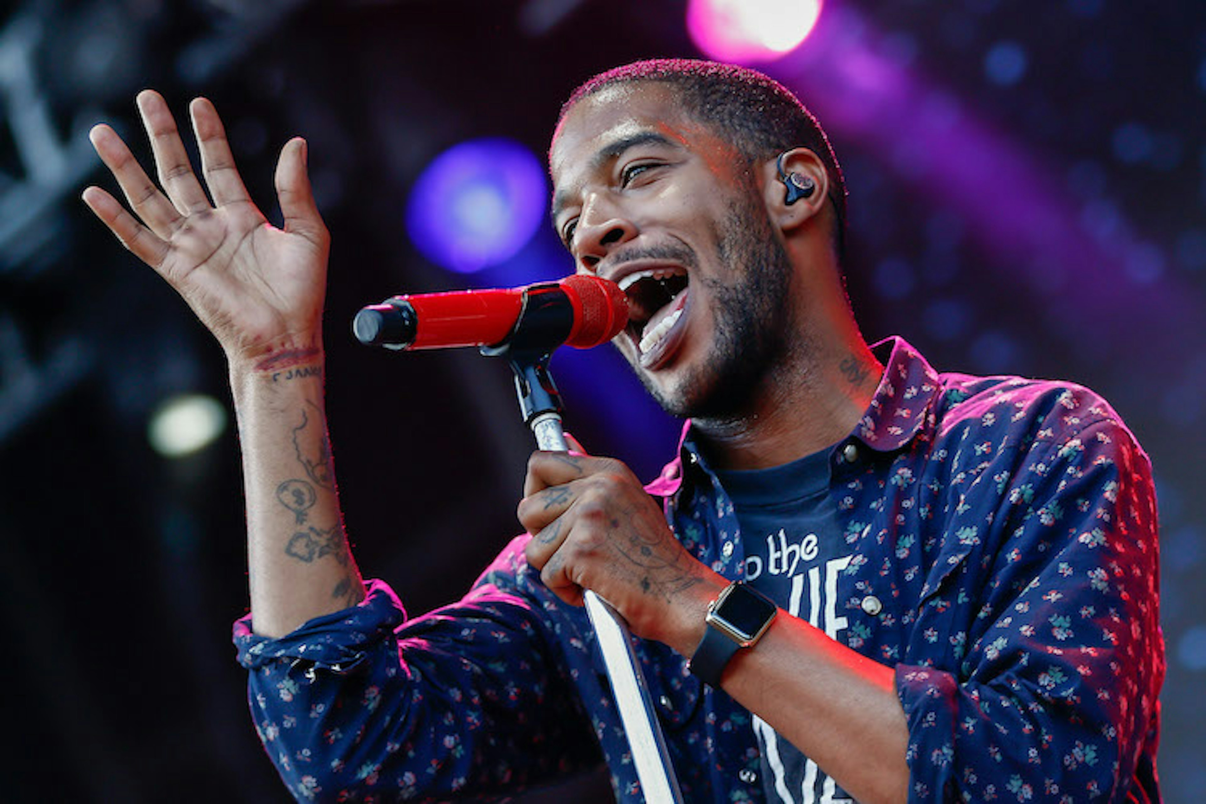 2015 Lollapalooza - Day 2