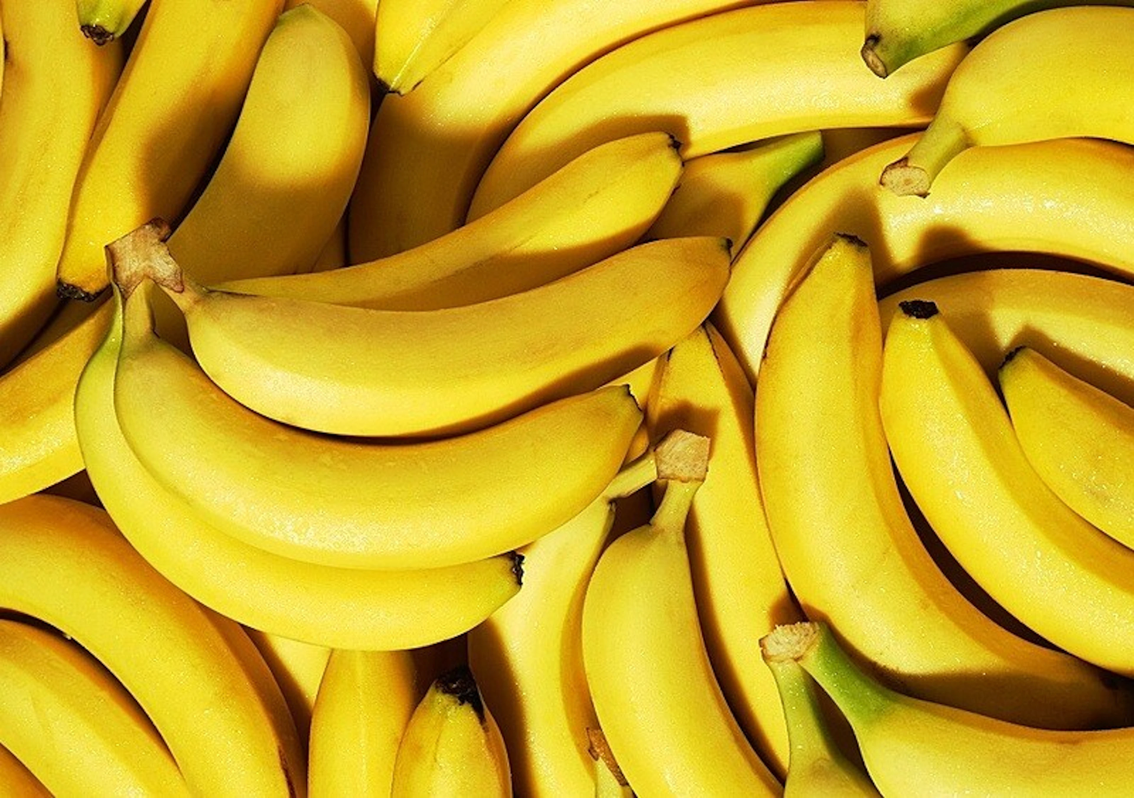 Genitalia ratowane szlifierką? Kokaina w bananach? Zapomnijcie o Florida Man. Dolny Śląsk to polska Floryda!