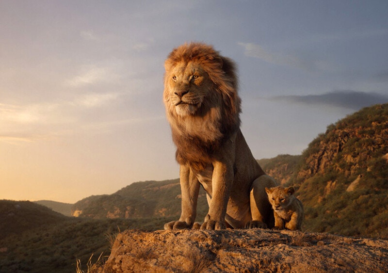 Nowy „Król Lew”, teaser aktorskiej „Małej Syrenki”... Disney i Pixar ujawnili plany na najbliższe lata