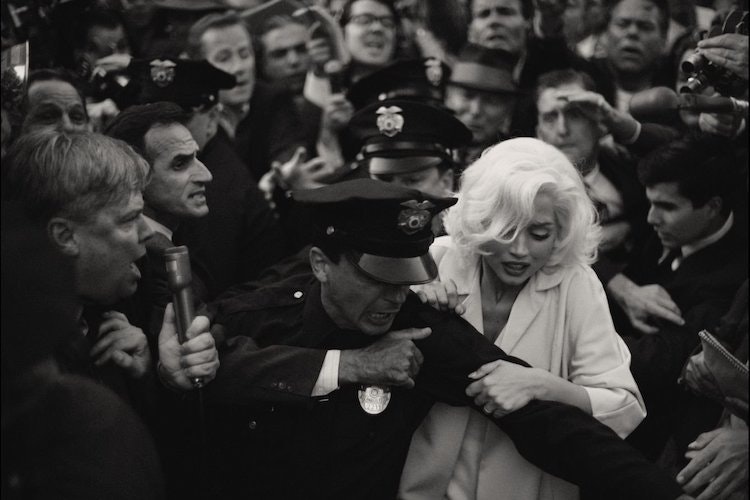 blondynka cover.jpeg