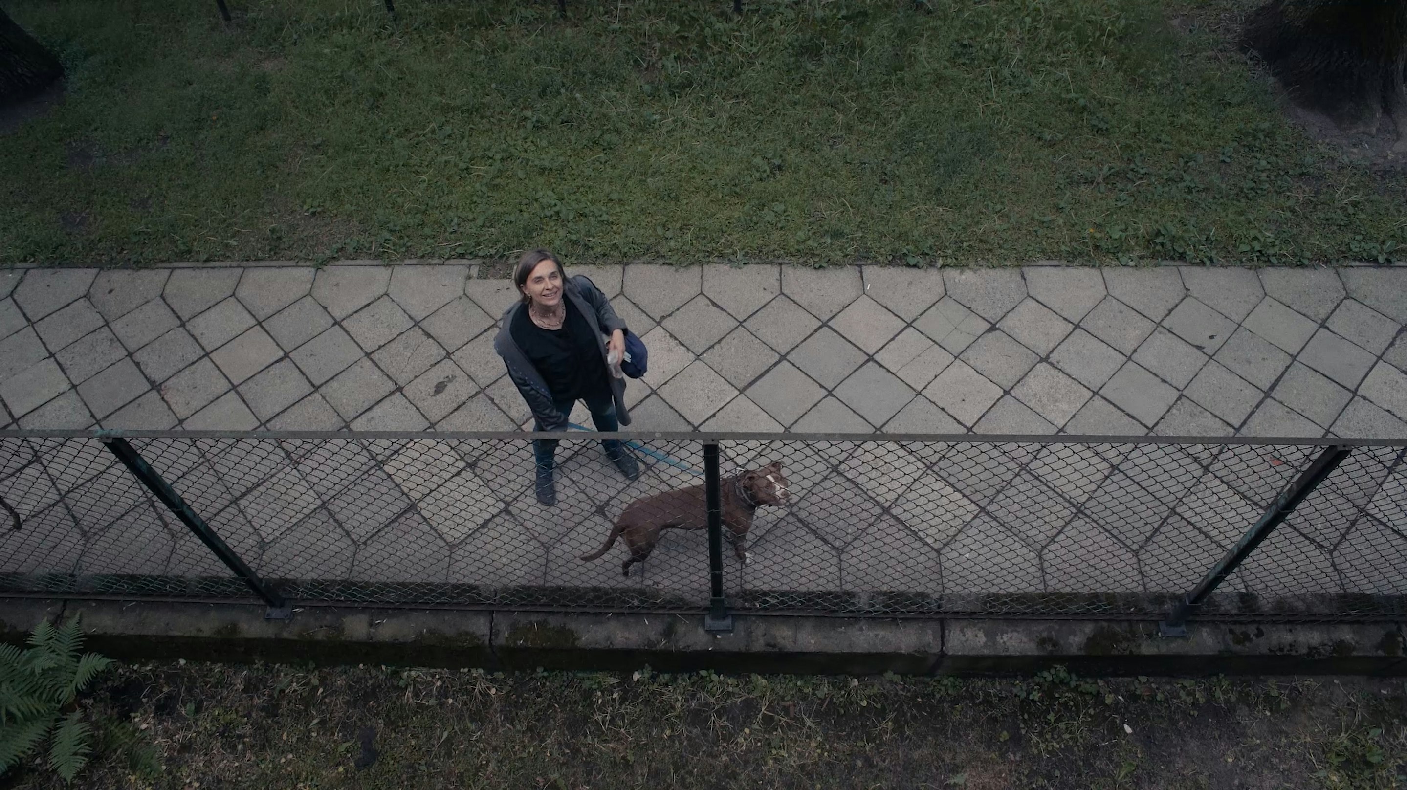 Film Balkonowy.jpg