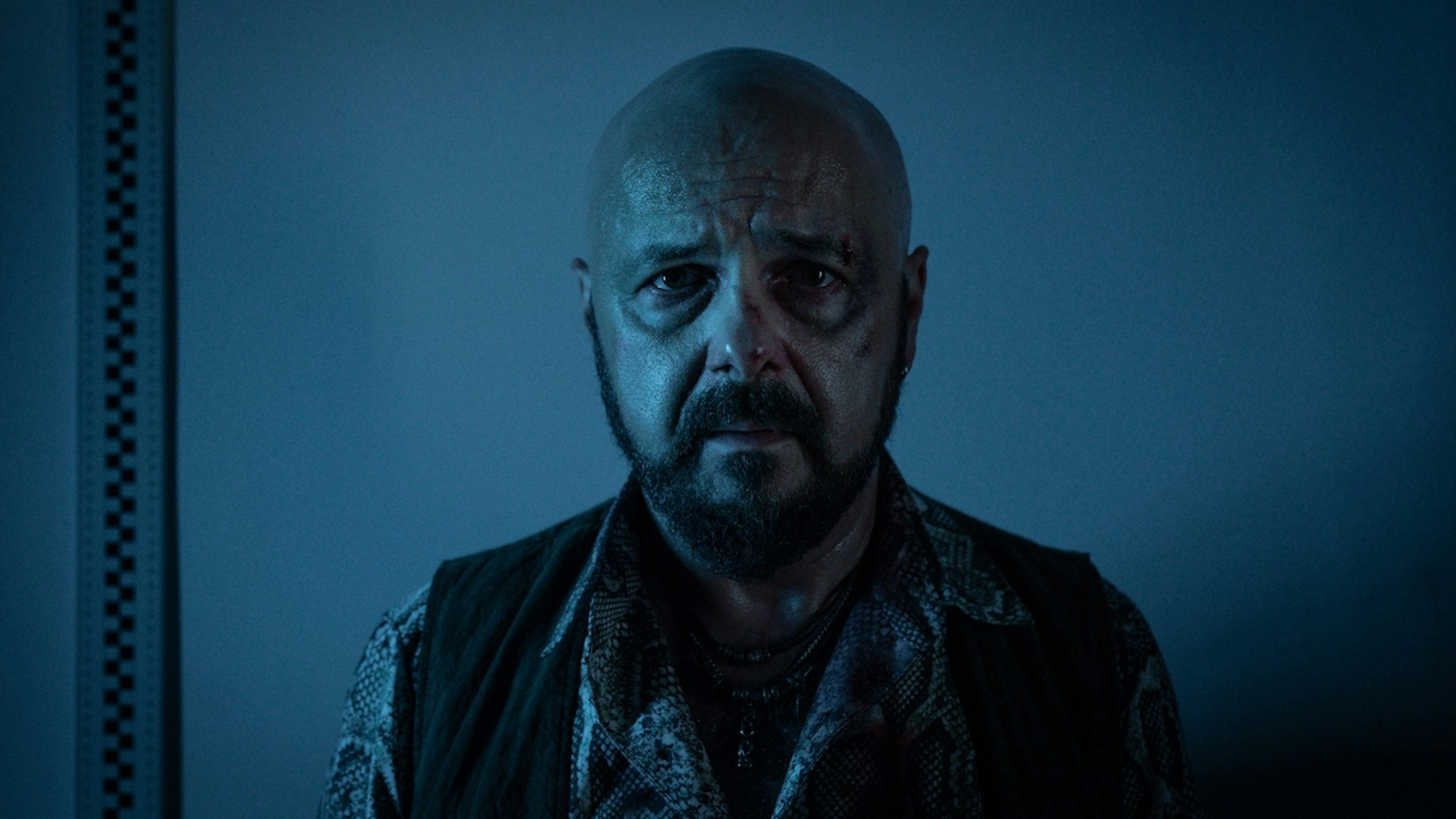 Netflix Informacja zwrotna Żulczyk Arkadiusz Jakubik Jakub Żulczyk