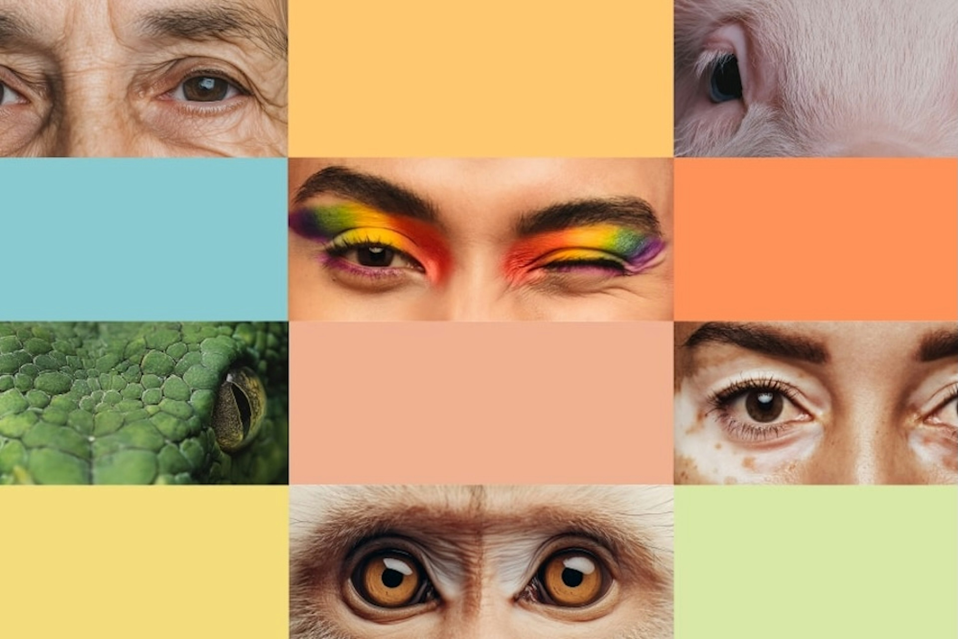 23 ig1 1080x1350.jpg