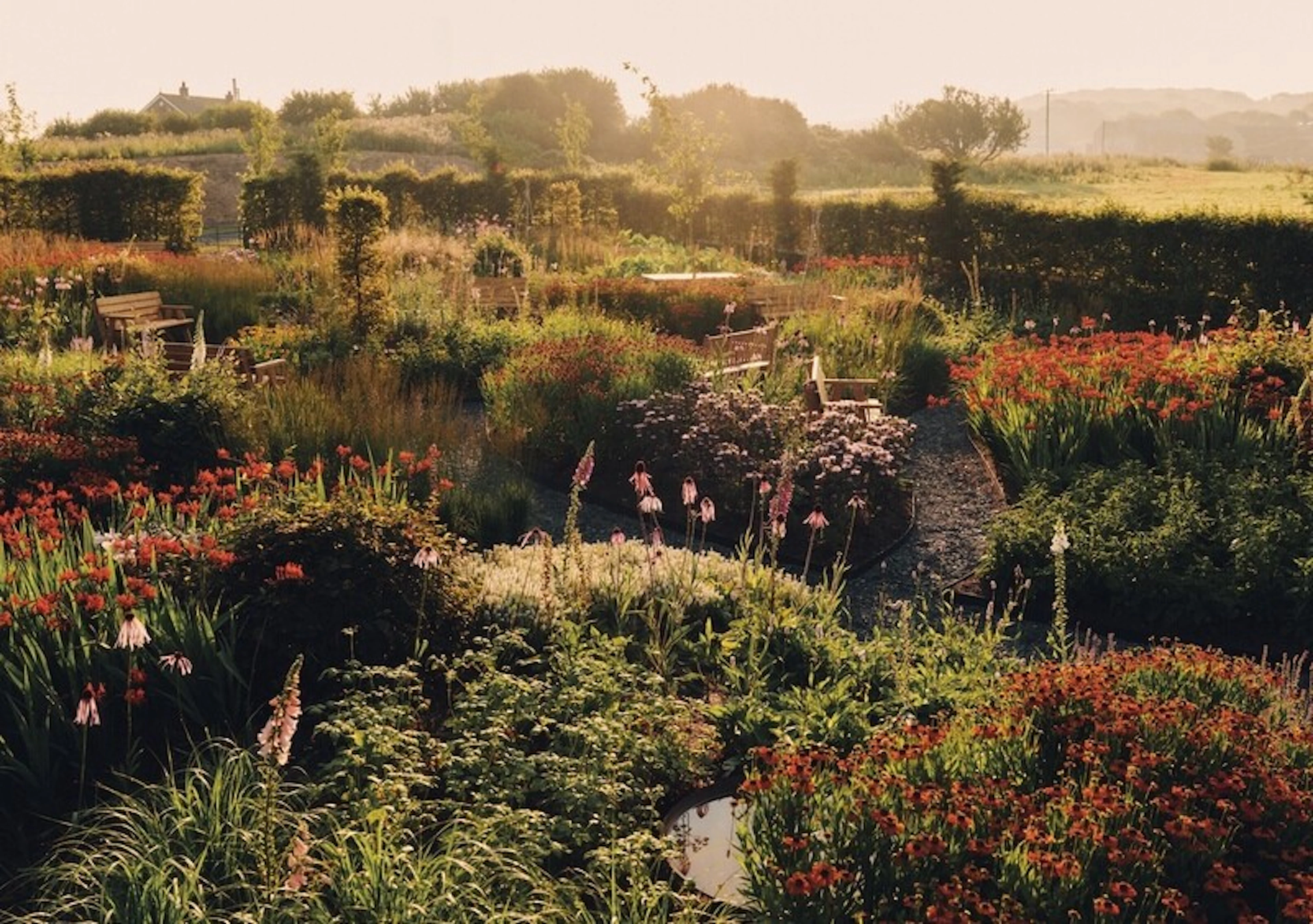 Tajemniczy ogród, ale to New Balance: niezwykły projekt „The Flimby Garden” 